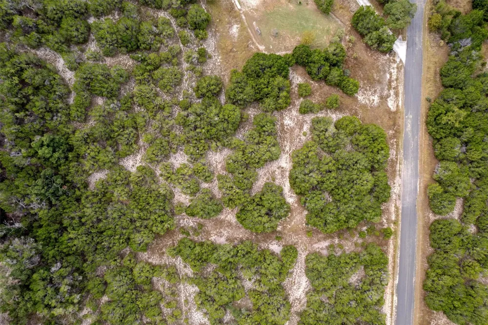 113 Woodhollow Drive Bertram, TX 78605