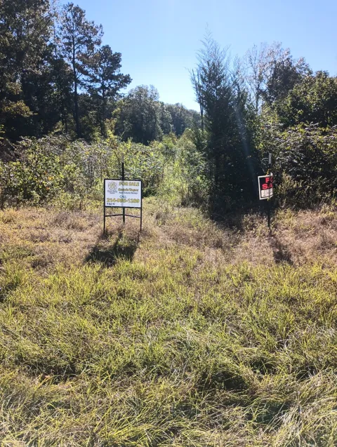 454 County Road 3334