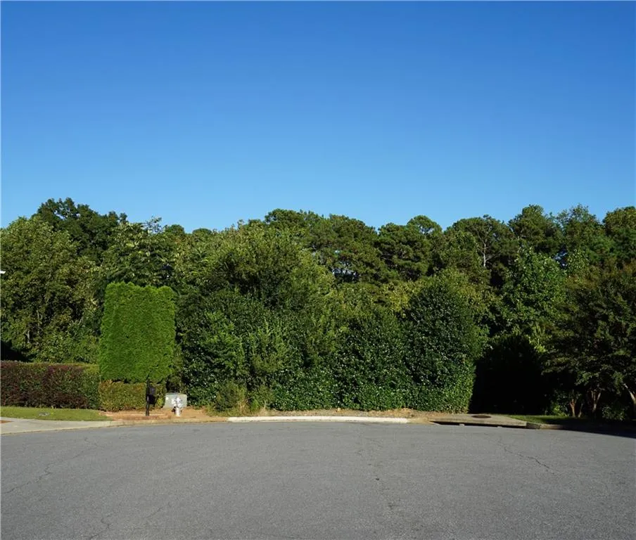 280 Vidaulan Court Johns Creek, GA 30022