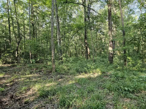 Strickland Road