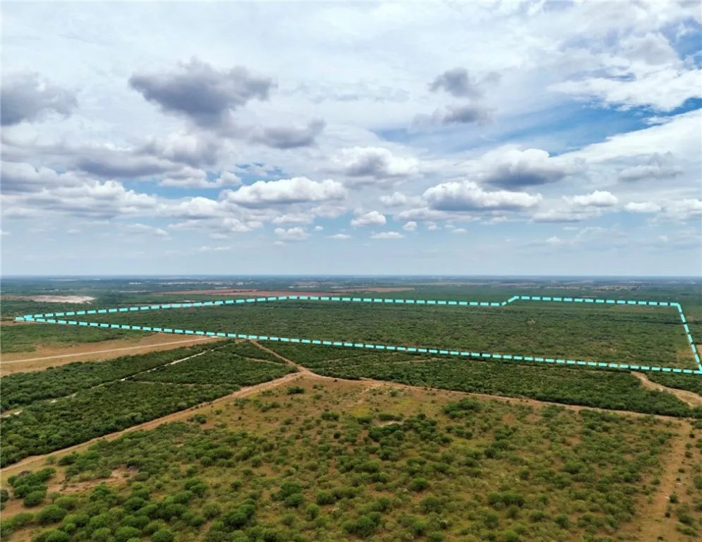 119 Alice, TX 78332
