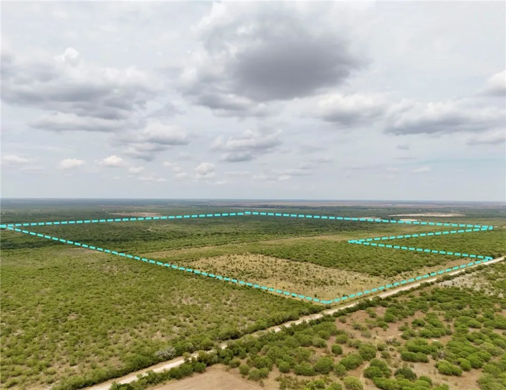 119 Alice, TX 78332