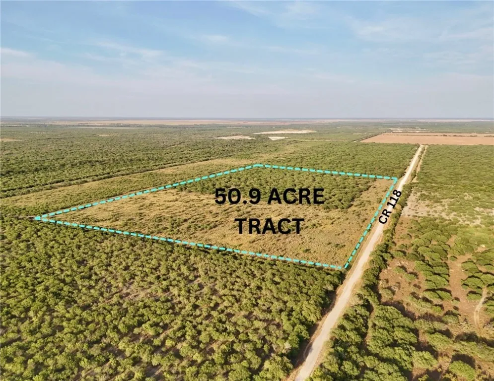 119 Alice, TX 78332