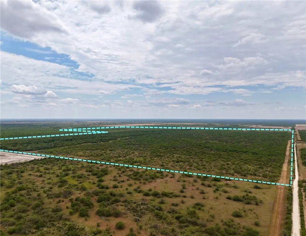 119 Alice, TX 78332