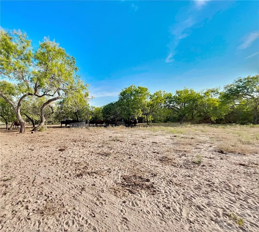 119 Alice, TX 78332