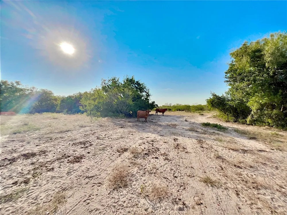 119 Alice, TX 78332