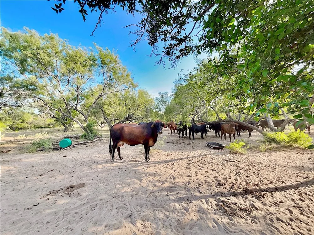 119 Alice, TX 78332
