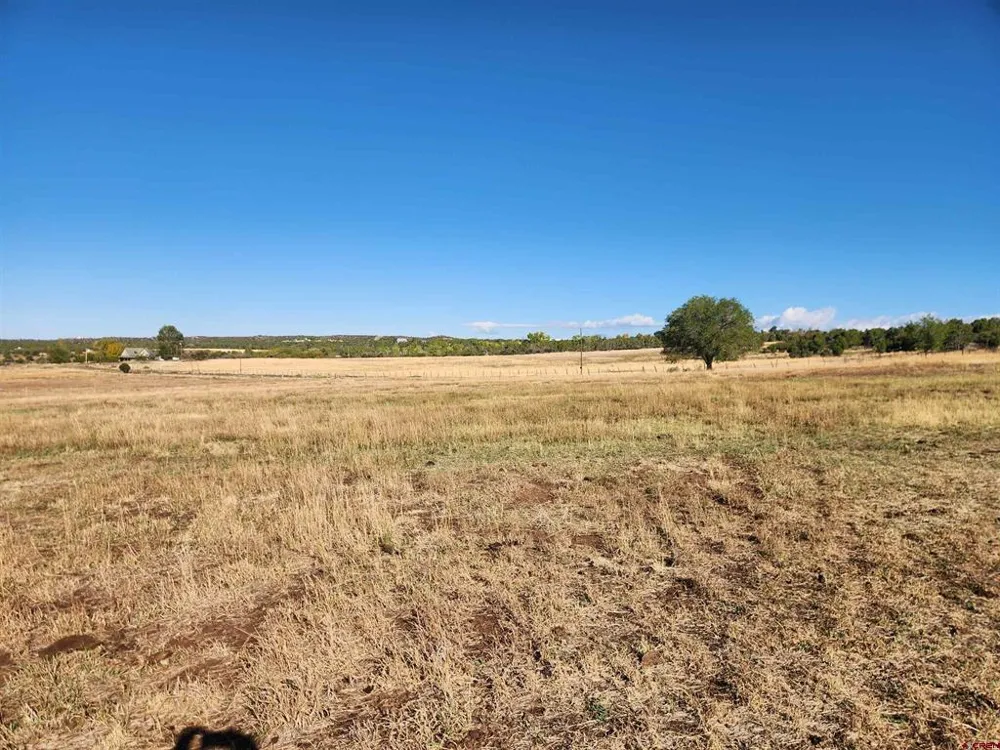 2 Road S Dolores, CO 81323