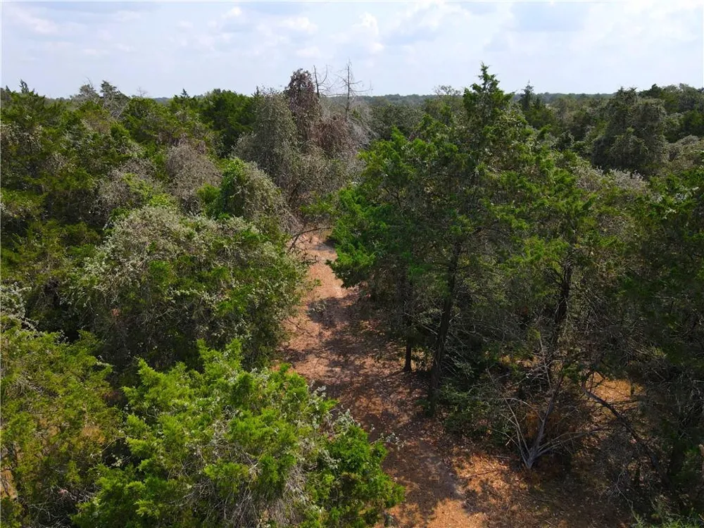 424 County Road 437 #Lot 2 Harwood, TX 78629