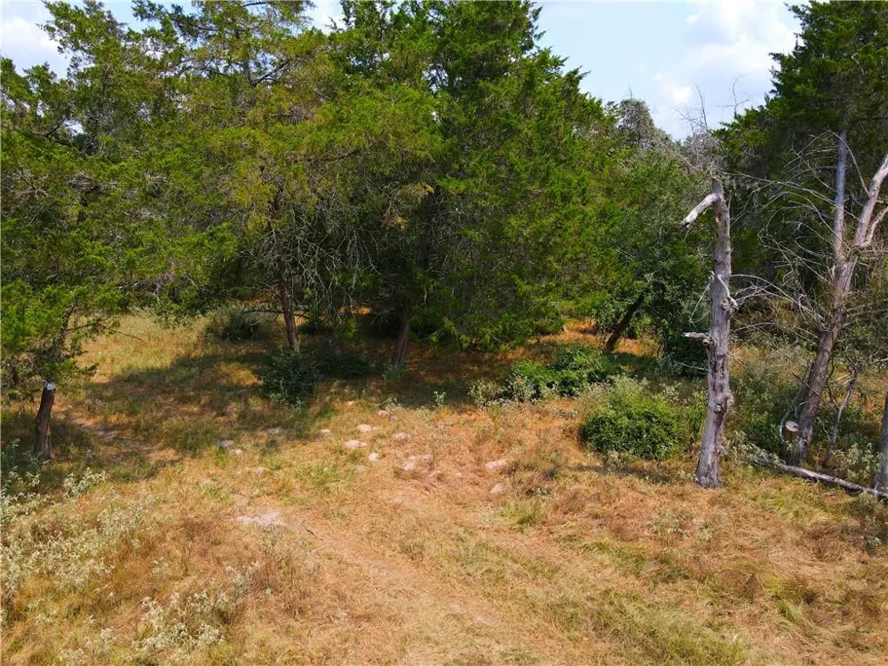 424 County Road 437 #Lot 2 Harwood, TX 78629