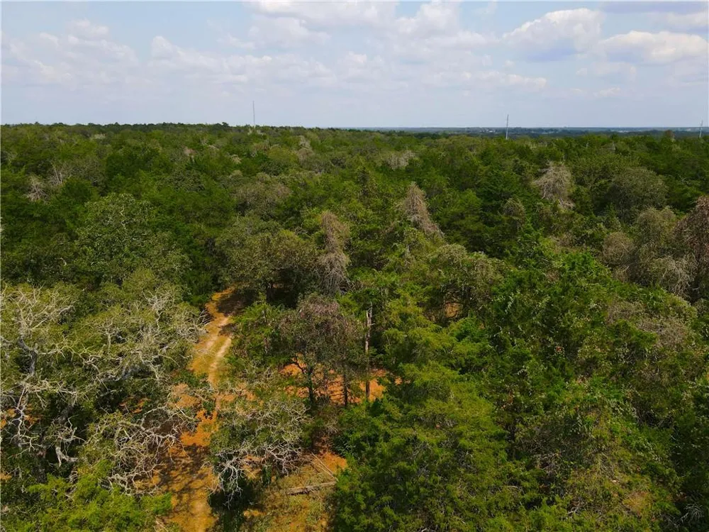 424 County Road 437 #Lot 2 Harwood, TX 78629