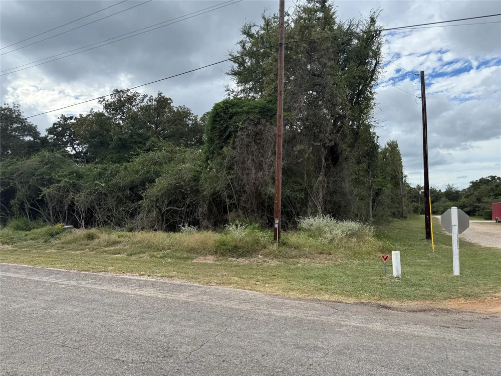 Golfview N Drive Normangee, TX 77871
