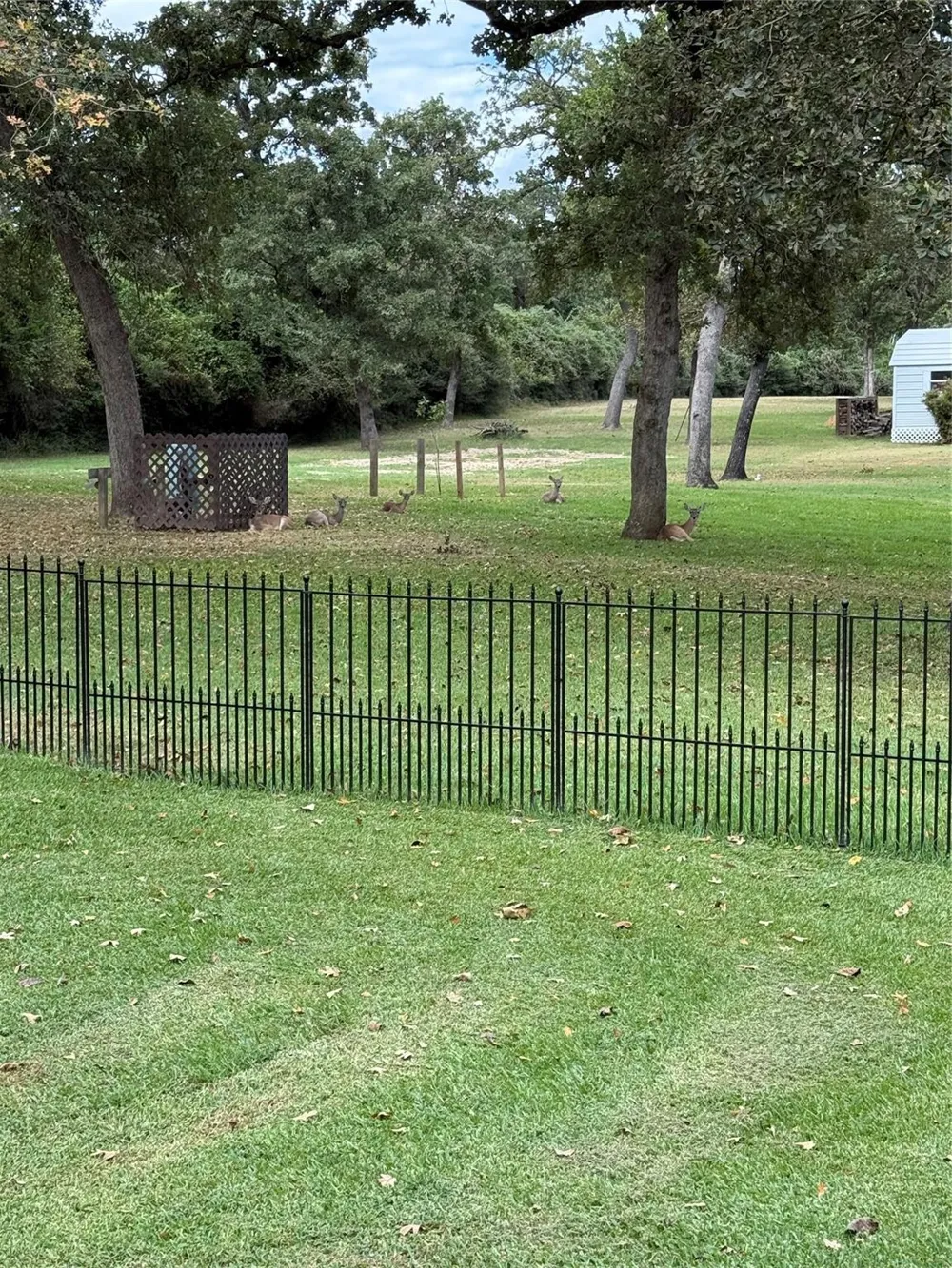 Golfview N Drive Normangee, TX 77871