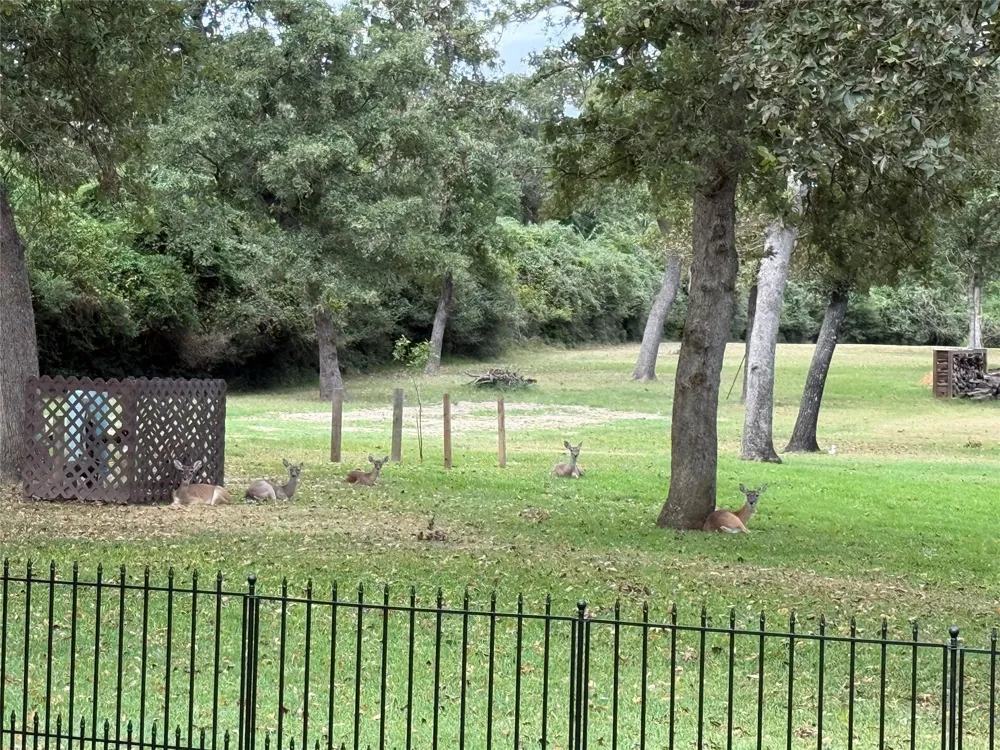Golfview N Drive Normangee, TX 77871
