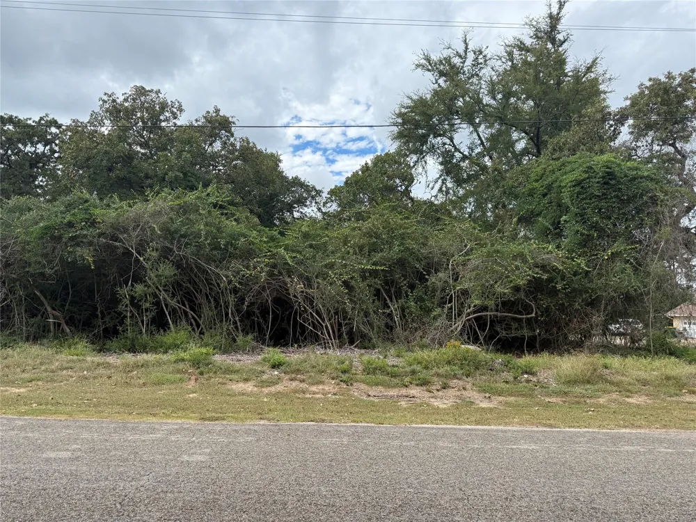 Golfview N Drive Normangee, TX 77871