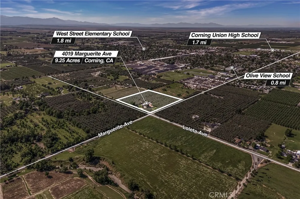 4019 Marguerite Avenue Corning, CA 96021