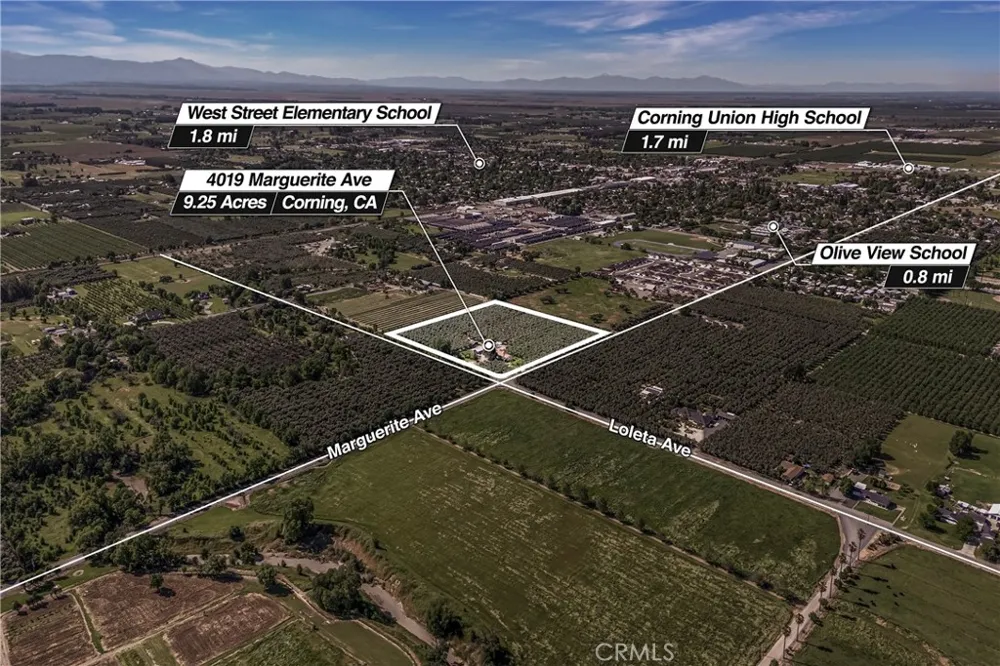 4019 Marguerite Avenue Corning, CA 96021