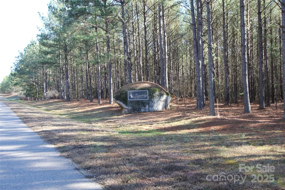 TBD Crossings Court #88 Lilesville, NC 28091