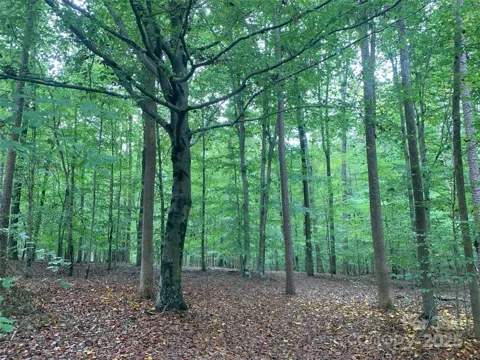 0 Fawn Lane