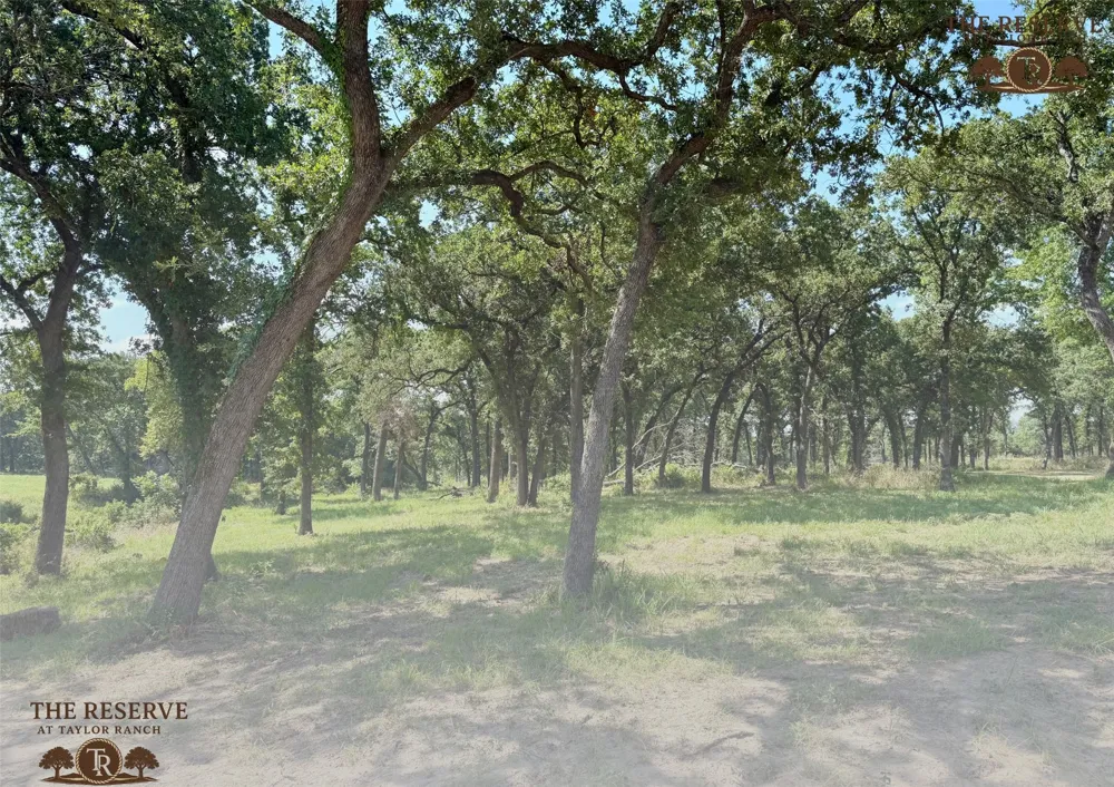 Colt Road Springtown, TX 76082