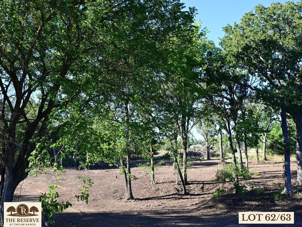 Colt Road Springtown, TX 76082
