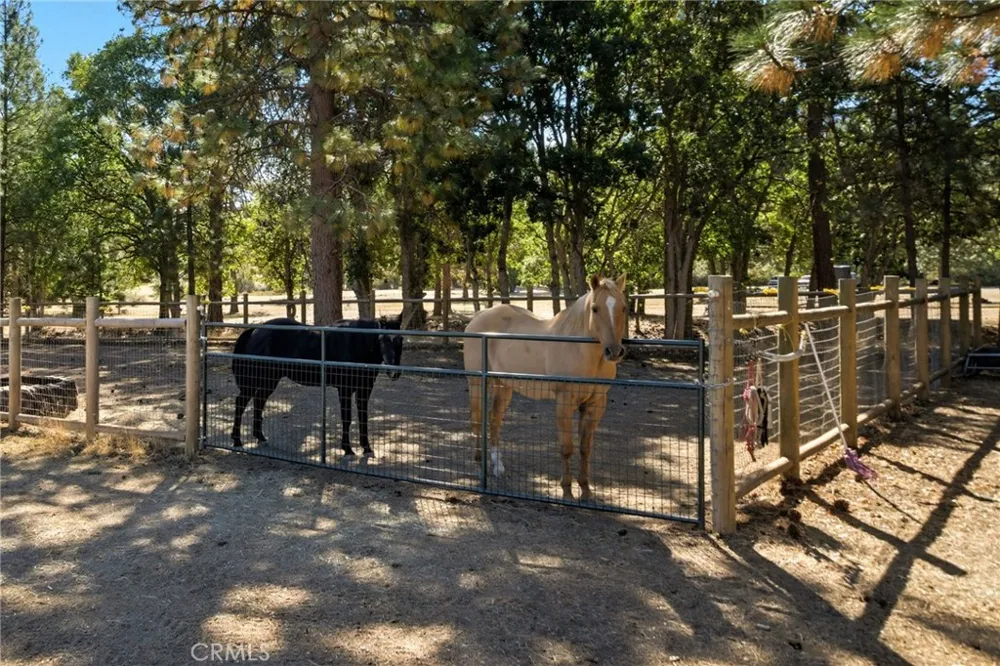 1121 Oak Valley Drive Yreka, CA 96097