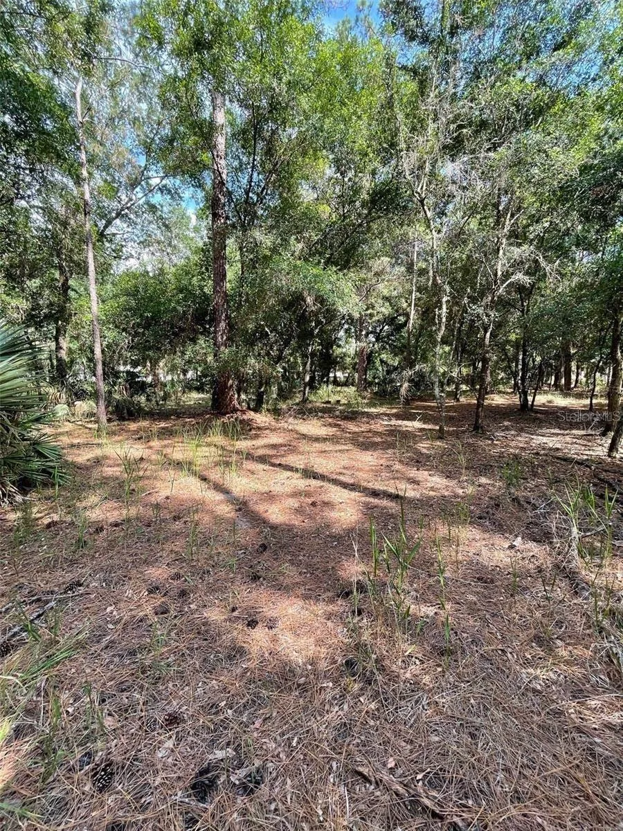 THUNDERHEAD STREET Wesley Chapel, FL 33544