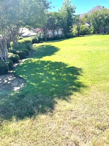3101 Oak Bourne Drive Arlington, TX 76016