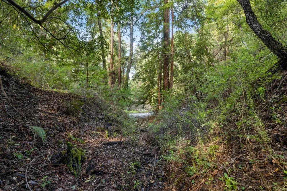 Lake Blvd Felton, CA 95018