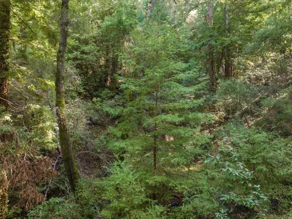 Lake Blvd Felton, CA 95018