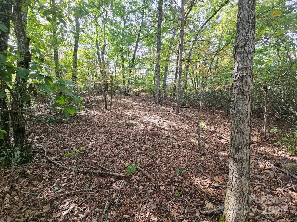 3634 Abee Farm Road Connelly Springs, NC 28612