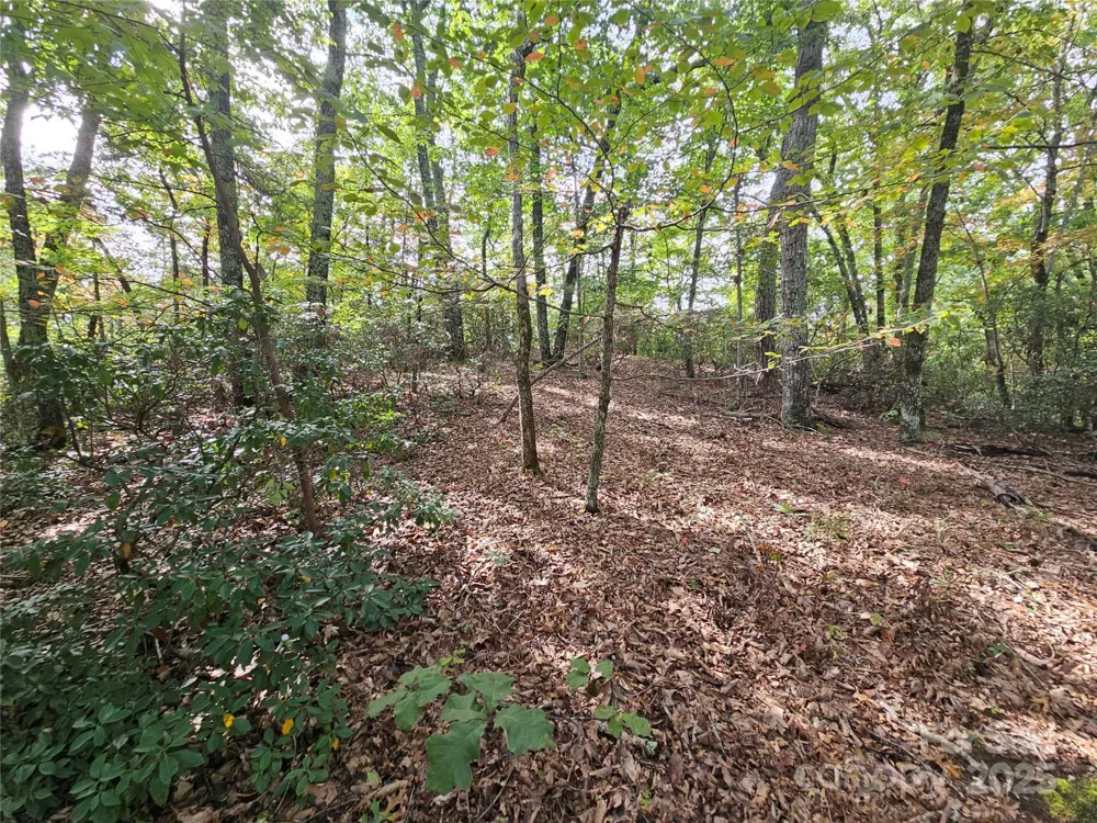 3634 Abee Farm Road Connelly Springs, NC 28612
