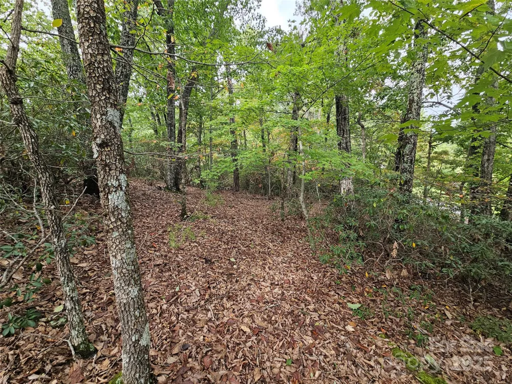 3634 Abee Farm Road Connelly Springs, NC 28612