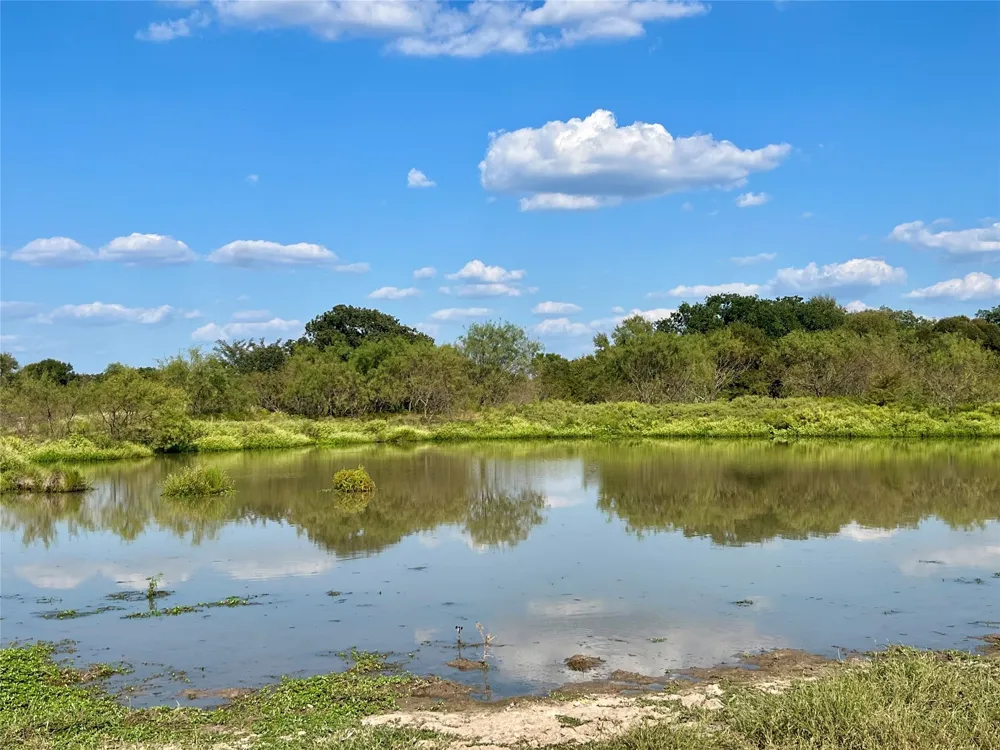 19149 Fm-744 Frost, TX 76641