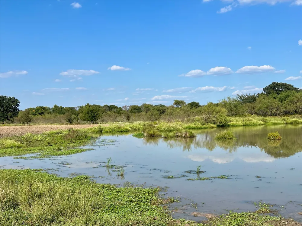 19149 Fm-744 Frost, TX 76641