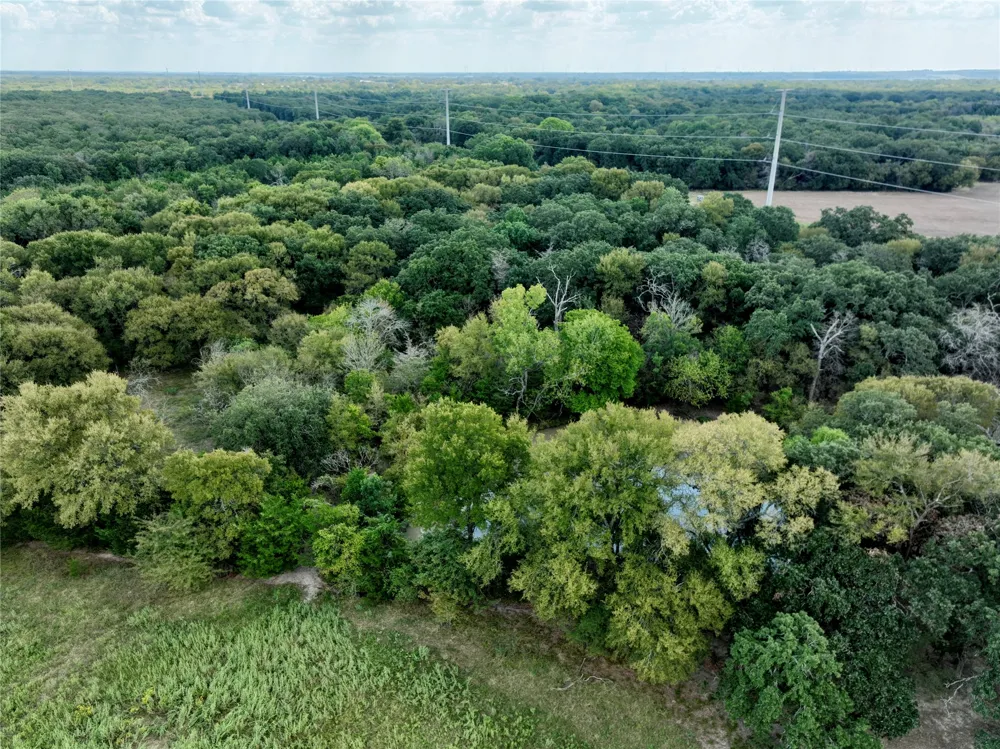 19149 Fm-744 Frost, TX 76641