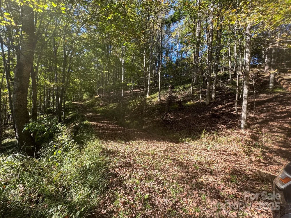 9 Susanna Cove Mars Hill, NC 28754