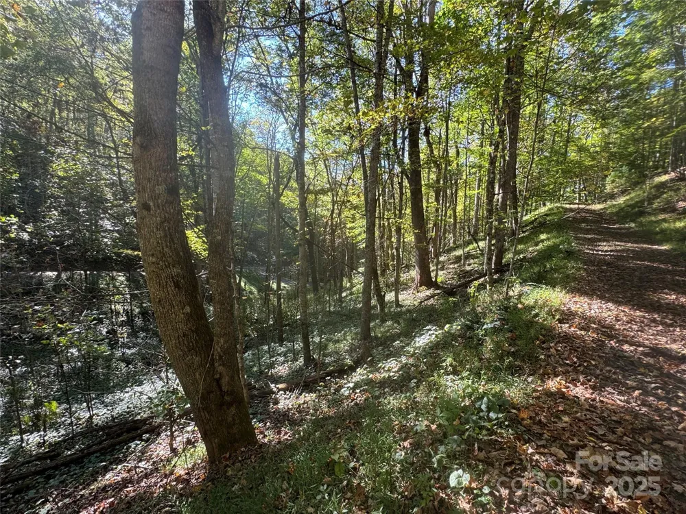 9 Susanna Cove Mars Hill, NC 28754
