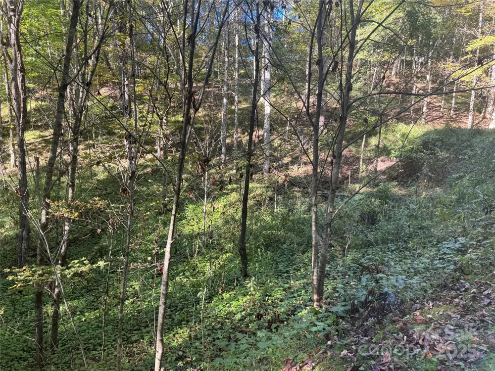 9 Susanna Cove Mars Hill, NC 28754