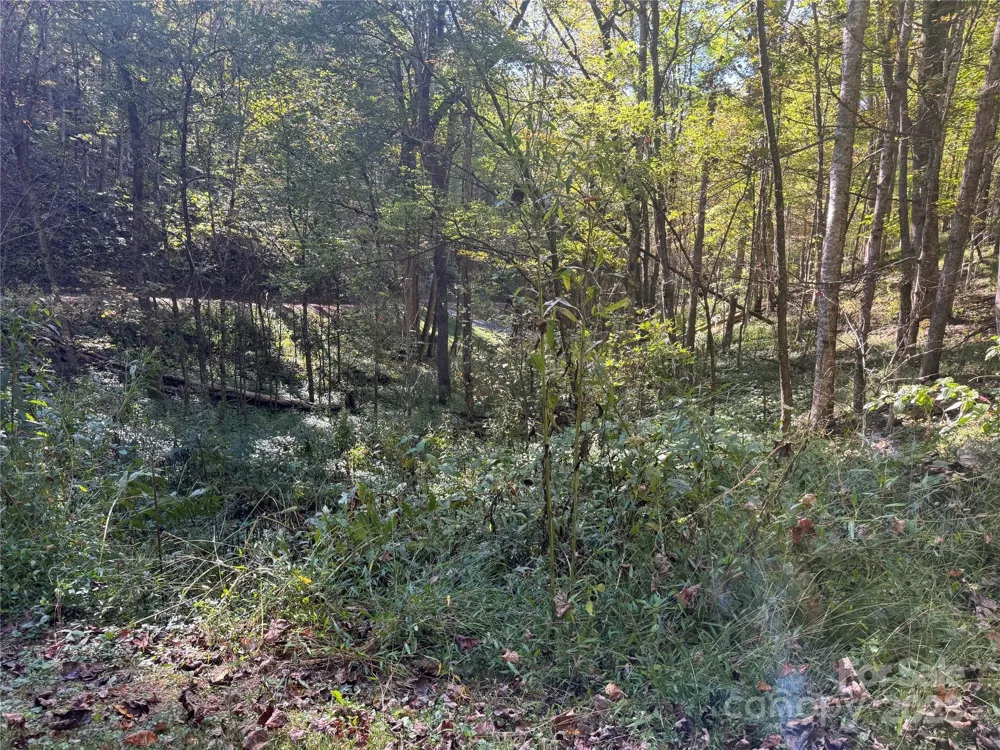 9 Susanna Cove Mars Hill, NC 28754