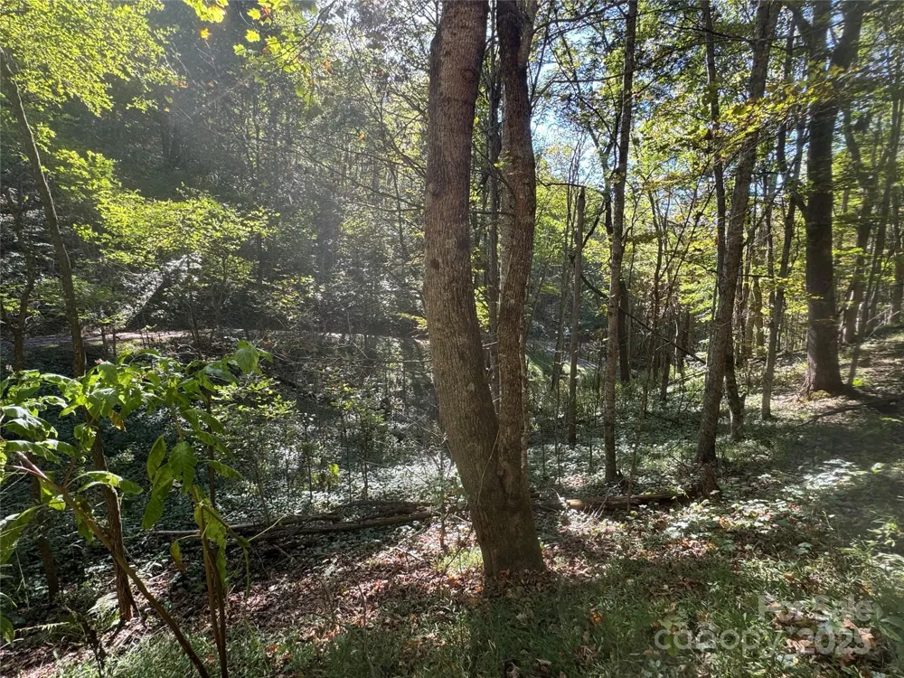 9 Susanna Cove Mars Hill, NC 28754