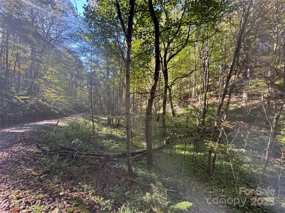 9 Susanna Cove Mars Hill, NC 28754