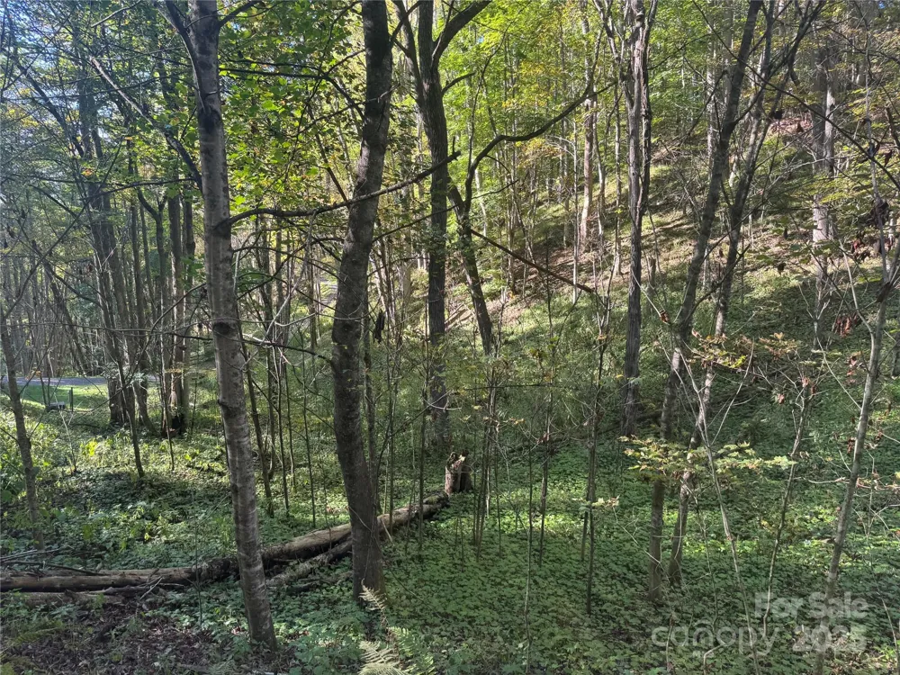 9 Susanna Cove Mars Hill, NC 28754