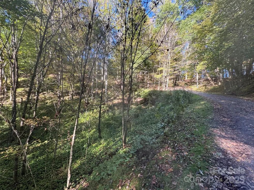 9 Susanna Cove Mars Hill, NC 28754