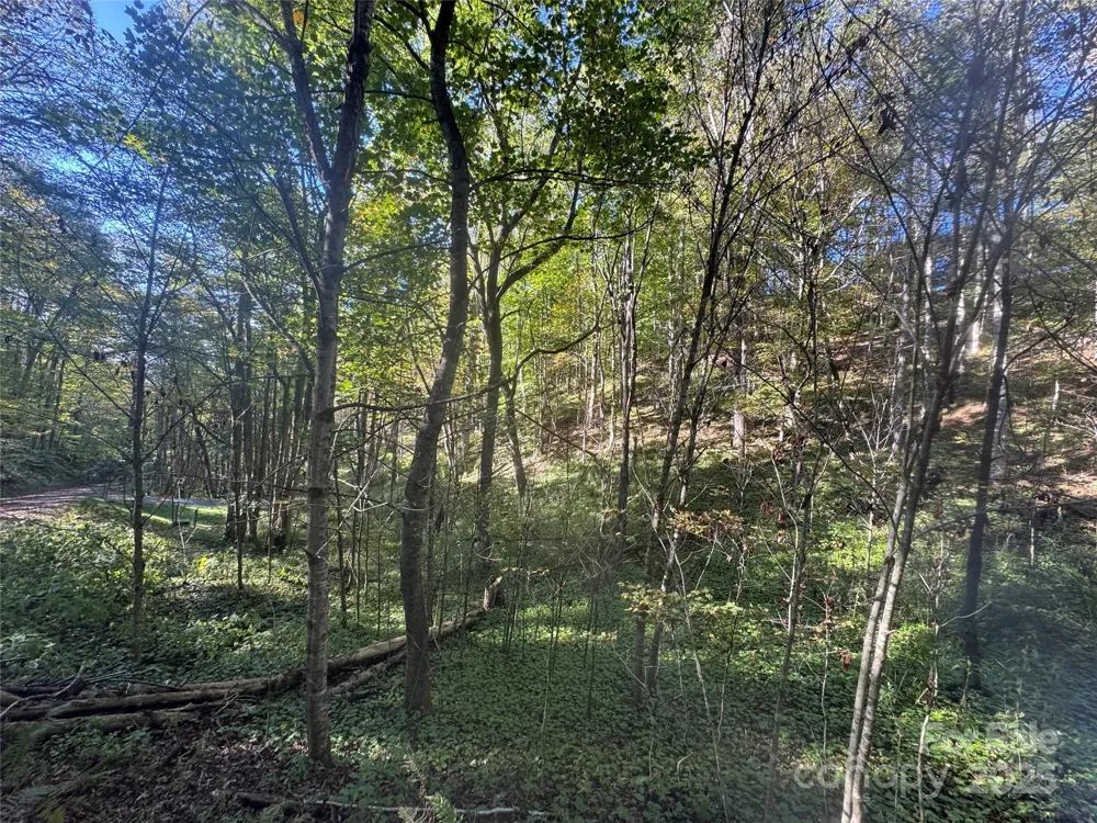 9 Susanna Cove Mars Hill, NC 28754