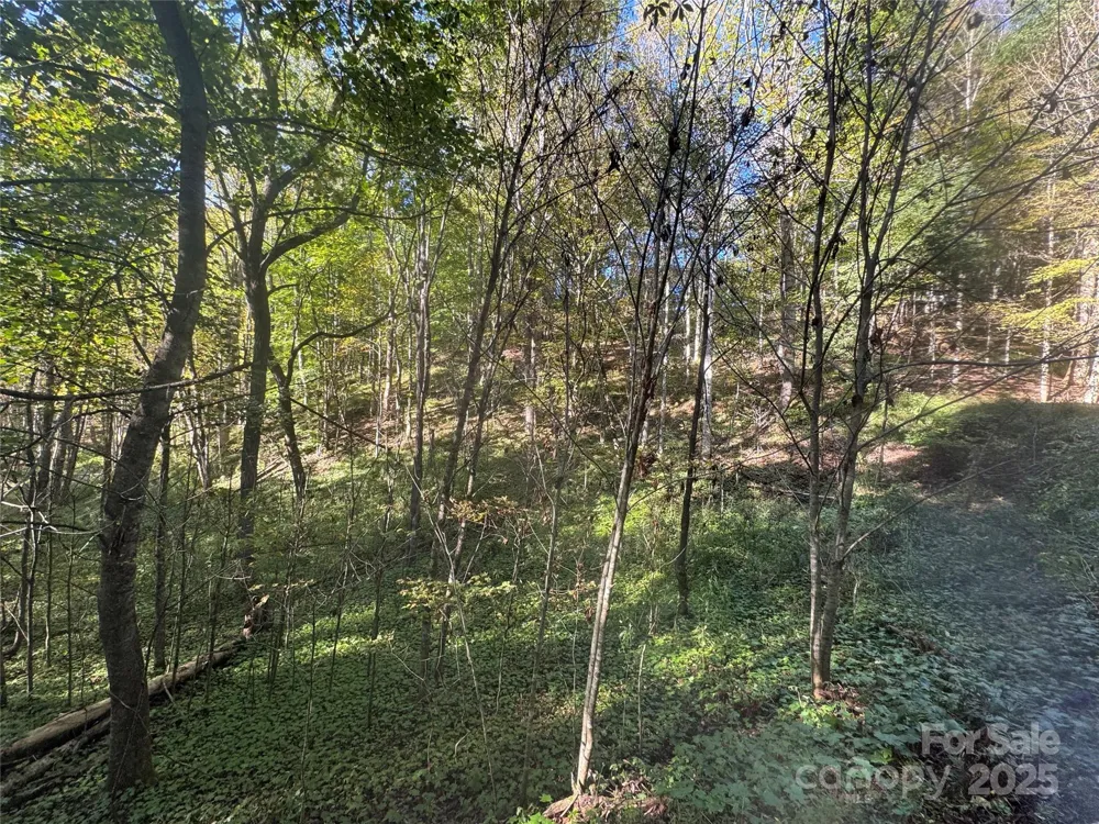 9 Susanna Cove Mars Hill, NC 28754