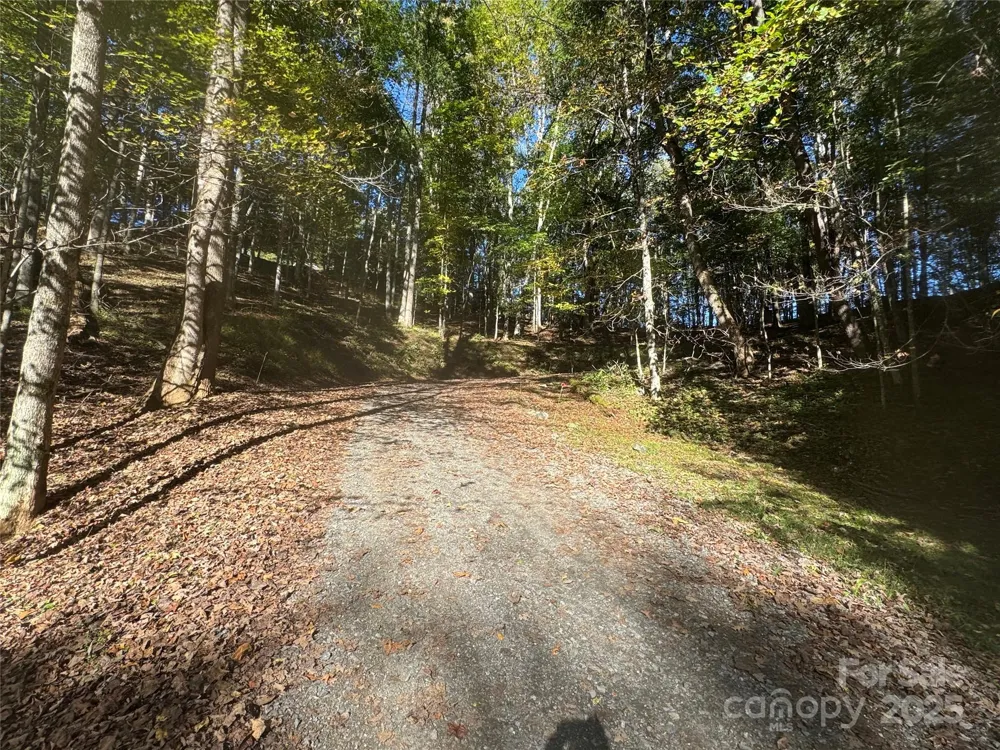 9 Susanna Cove Mars Hill, NC 28754