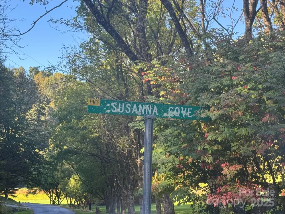 9 Susanna Cove Mars Hill, NC 28754