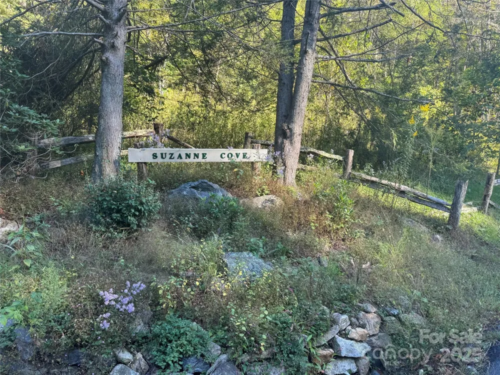 9 Susanna Cove Mars Hill, NC 28754