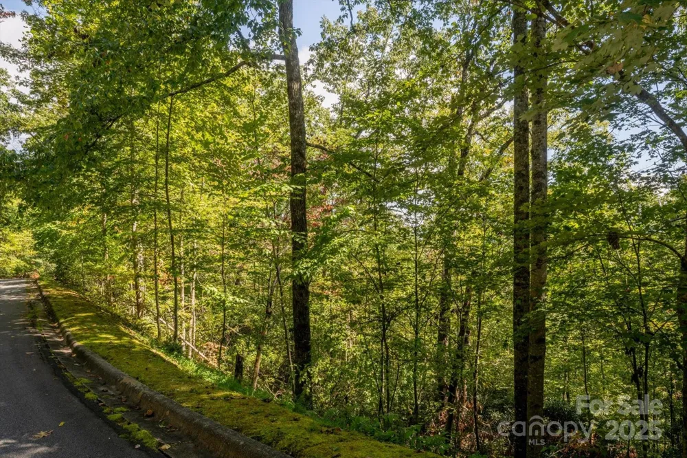 TBD Pine Mountain Trail #M79 Brevard, NC 28712